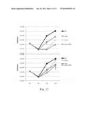 INHIBITORS OF MTOR KINASE AS ANTI-VIRAL AGENTS diagram and image