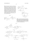 BENZO [B] [1,4] OXAZIN DERIVATIVES AS CALCIUM SENSING RECEPTOR MODULATORS diagram and image