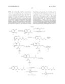 BENZO [B] [1,4] OXAZIN DERIVATIVES AS CALCIUM SENSING RECEPTOR MODULATORS diagram and image