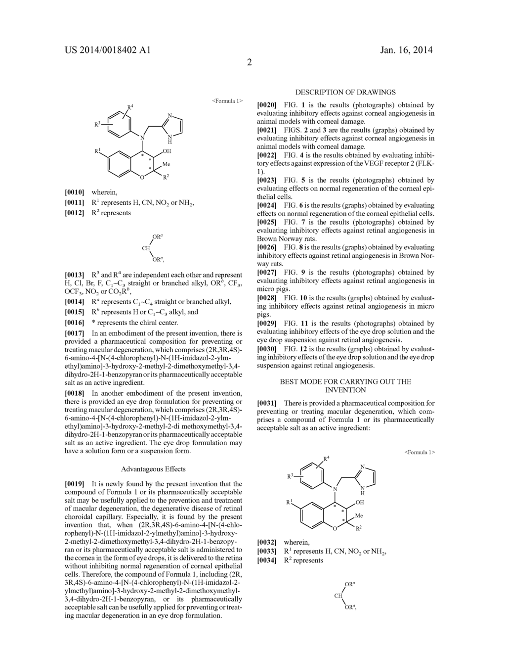 PHARMACEUTICAL COMPOSITION FOR PREVENTING OR TREATING MACULAR DEGENERATION - diagram, schematic, and image 09