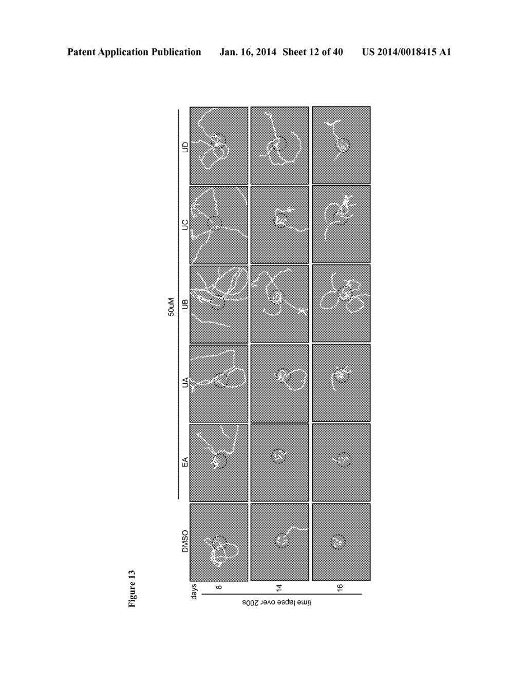 Enhancing Autophagy or Increasing Longevity by Administration of     Urolithins or Precursors Thereof - diagram, schematic, and image 13