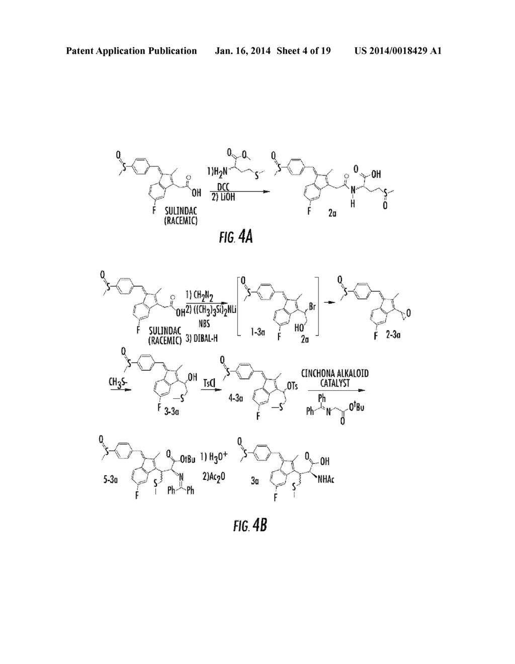 PROTECTION OF NORMAL CELLS - diagram, schematic, and image 05