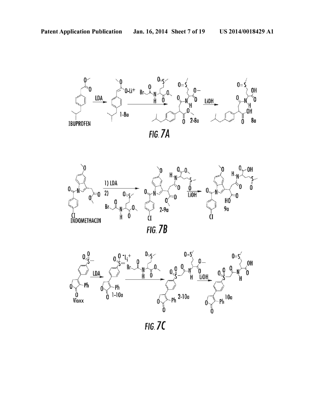 PROTECTION OF NORMAL CELLS - diagram, schematic, and image 08