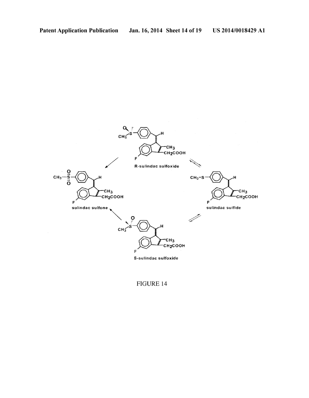 PROTECTION OF NORMAL CELLS - diagram, schematic, and image 15