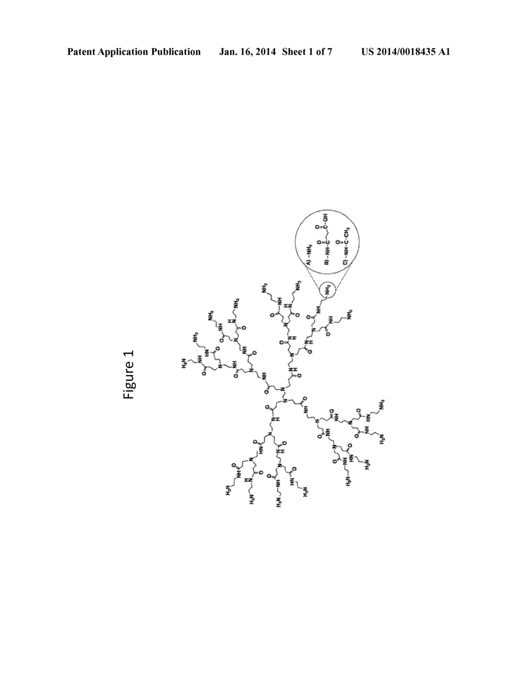 Transdermal Delivery of Therapeutic Agents Using Poly (Amidoamine)     Dendrimers - diagram, schematic, and image 02