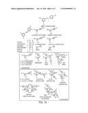 TREATMENT OF INFLAMMATORY AND INFECTIOUS SKIN DISORDERS diagram and image