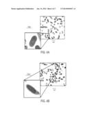 TREATMENT OF INFLAMMATORY AND INFECTIOUS SKIN DISORDERS diagram and image