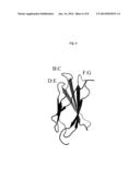 Stabilized Fibronectin Domain Compositions, Methods and Uses diagram and image