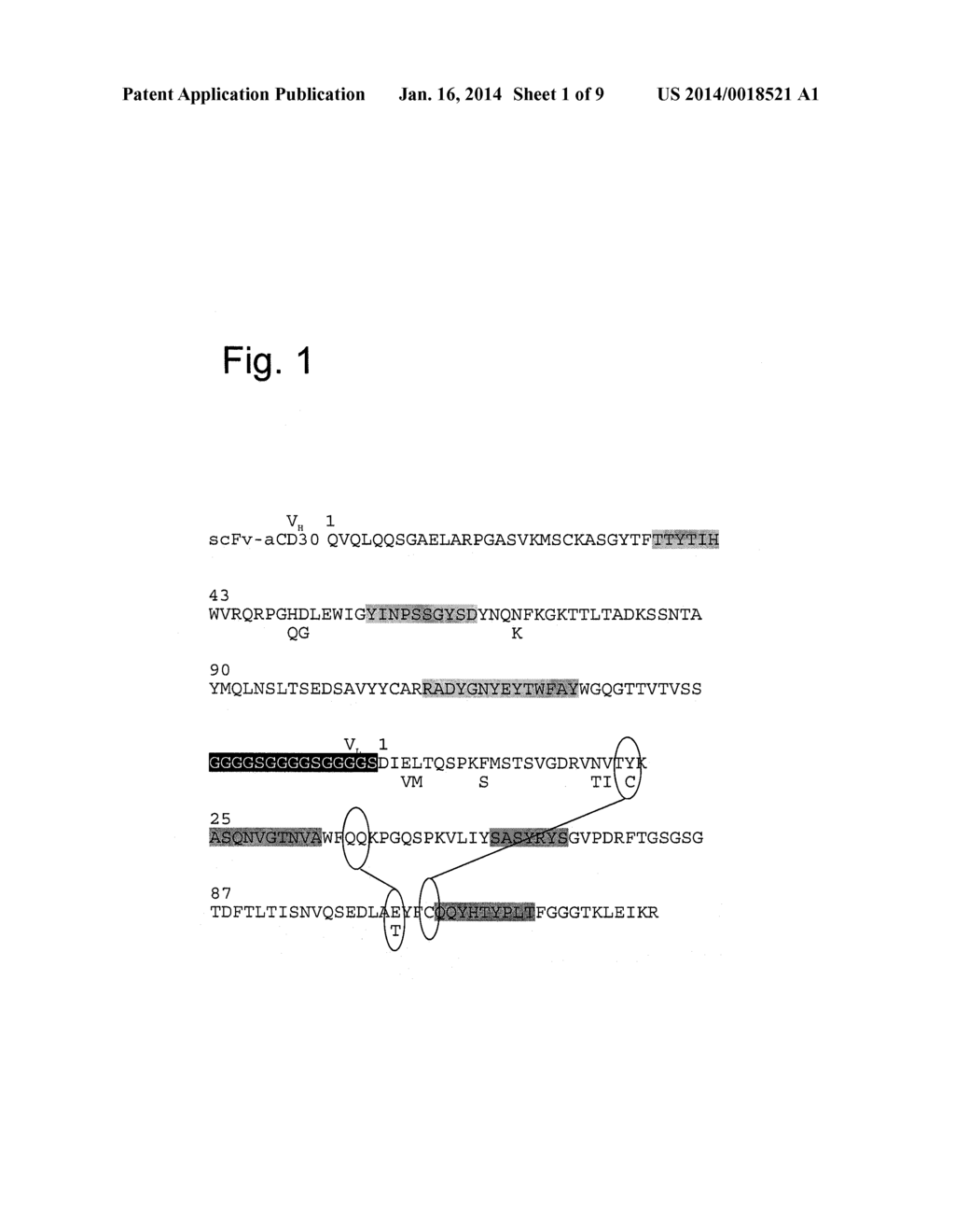 Methods for the identification and repair of amino acid residues     destabilizing single-chain variable fragments (scFv) - diagram, schematic, and image 02