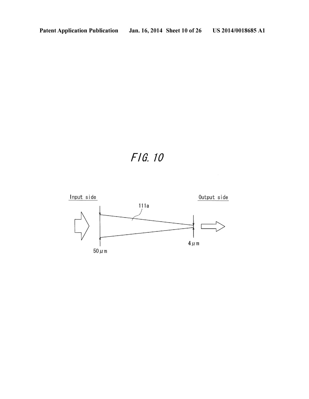 OPTICAL INSPECTION DEVICE, ELECTROMAGNETIC WAVE DETECTION METHOD,     ELECTROMAGNETIC WAVE DETECTION DEVICE, ORGANISM OBSERVATION METHOD,     MICROSCOPE, ENDOSCOPE, AND OPTICAL TOMOGRAPHIC IMAGE GENERATION DEVICE - diagram, schematic, and image 11