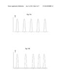 Diathermy Applicator Garment diagram and image