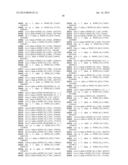 MOLECULAR MARKERS FOR VARIOUS TRAITS IN WHEAT AND METHODS OF USE diagram and image