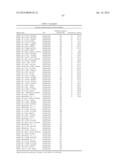 MOLECULAR MARKERS FOR VARIOUS TRAITS IN WHEAT AND METHODS OF USE diagram and image