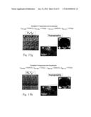 MODE-SYNTHESIZING ATOMIC FORCE MICROSCOPY AND MODE-SYNTHESIZING SENSING diagram and image