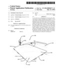 Swimming Pool Pillow diagram and image