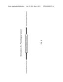 SYSTEM, METHOD, AND COMPUTER ALGORITHM AND CHARACTERIZATION AND     CLASSIFICATION OF ELECTROPHYSIOLOGICAL EVOKED POTENTIALS diagram and image