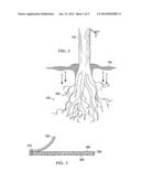 Root Ball Container diagram and image