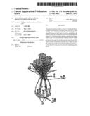 DEVICE FOR DISPLAYING FLOWER BOUQUETS OR POTTED PLANTS diagram and image