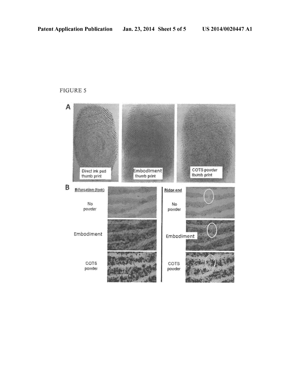 TRACE ANALYTE EXTRACTION USING ADSORPTIVE CARBIDE-DERIVED NANOPOROUS     CARBON POWDERS - diagram, schematic, and image 06