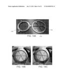 SYSTEMS AND METHODS FOR IMPLEMENTING BULK METALLIC GLASS-BASED MACROSCALE     COMPLIANT MECHANISMS diagram and image