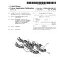 CARBON NANOTUBE COMPOSITE AND METHOD OF MANUFACTURING THE SAME diagram and image