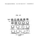 SEMICONDUCTOR DEVICE AND A METHOD OF INCREASING A RESISTANCE VALUE OF AN     ELECTRIC FUSE diagram and image