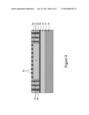 PACKAGE STRUCTURES INCLUDING A CAPACITOR AND METHODS OF FORMING THE SAME diagram and image