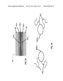 STRAIN RELIEF STRUCTURES FOR STRETACHBLE INTERCONNECTS diagram and image