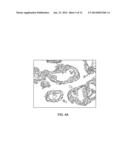 BIOLOGICAL UNIT SEGMENTATION WITH RANKING BASED ON SIMILARITY APPLYING A     GEOMETRIC SHAPE AND SCALE MODEL diagram and image