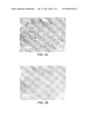 Method of Detecting and Quantifying Blur in a Digital Image diagram and image