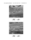 AGGLOMERATED PARTICLE CLOUD NETWORK COATED FIBER BUNDLE diagram and image