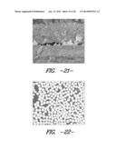 AGGLOMERATED PARTICLE CLOUD NETWORK COATED FIBER BUNDLE diagram and image