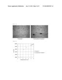 MAGNESIUM ALLOY CHIPS AND PROCESS FOR MANUFACTURING MOLDED ARTICLE USING     SAME diagram and image