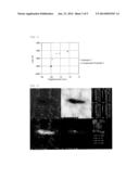 MAGNESIUM ALLOY CHIPS AND PROCESS FOR MANUFACTURING MOLDED ARTICLE USING     SAME diagram and image