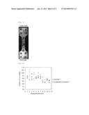 MAGNESIUM ALLOY CHIPS AND PROCESS FOR MANUFACTURING MOLDED ARTICLE USING     SAME diagram and image