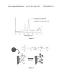 MODIFIED POLY (STYRENE-CO-MALEIC ANHYDRIDE) AND USES THEREOF diagram and image