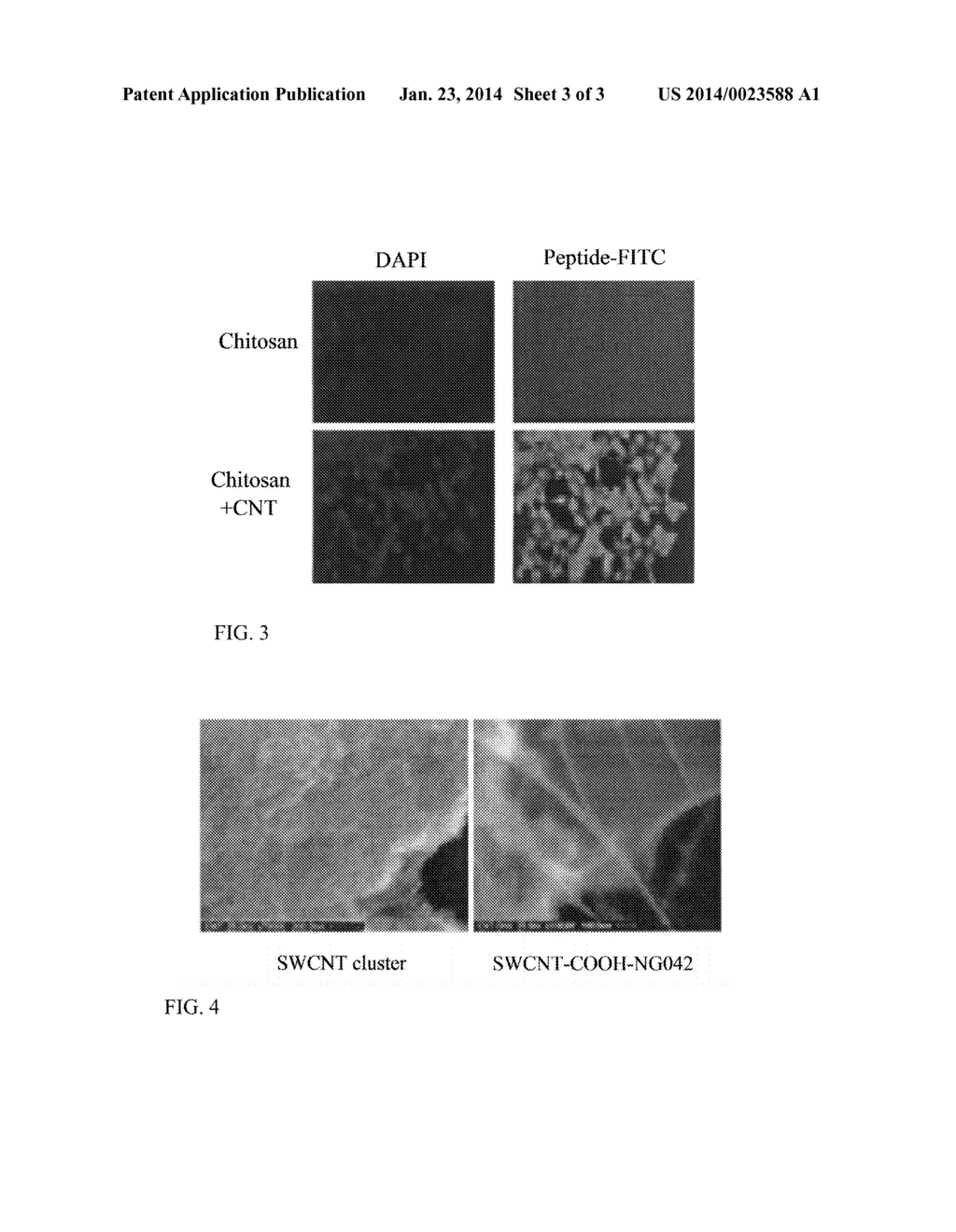 METHOD OF DRUG DELIVERY BY CARBON NANOTUBE CHITOSAN NANOCOMPLEXES - diagram, schematic, and image 04