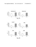 IMMUNOTHERAPY FOR IMMUNE SUPPRESSED PATIENTS diagram and image