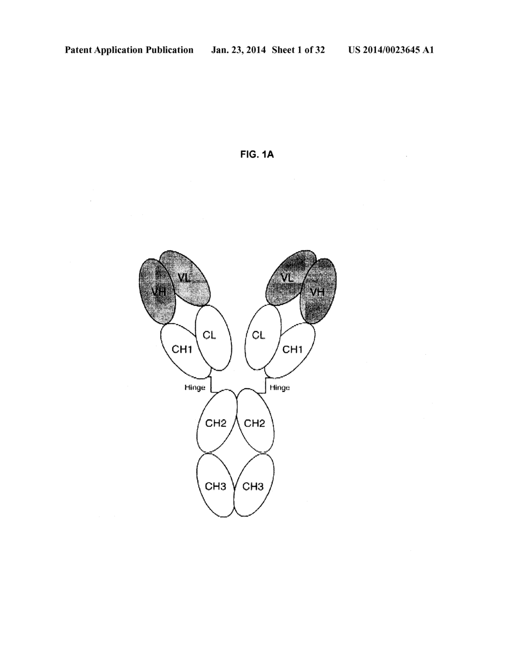 ENGINEERED ANTIBODY CONSTANT DOMAIN MOLECULES - diagram, schematic, and image 02