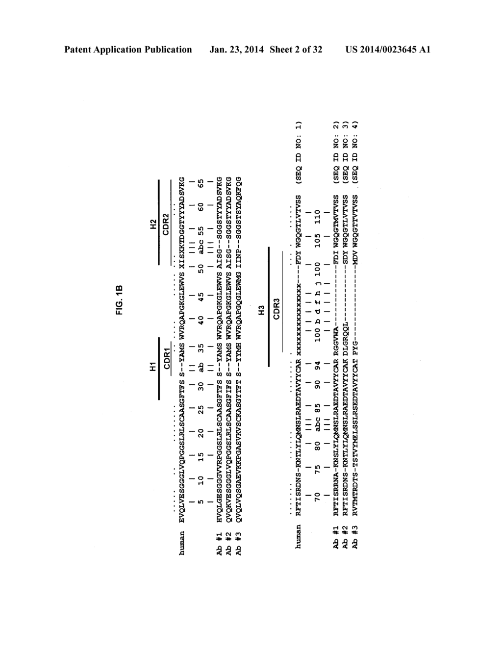 ENGINEERED ANTIBODY CONSTANT DOMAIN MOLECULES - diagram, schematic, and image 03