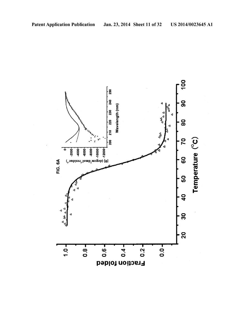 ENGINEERED ANTIBODY CONSTANT DOMAIN MOLECULES - diagram, schematic, and image 12