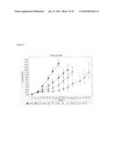 COMBINATION OF ANGIOPOIETIN-2 ANTAGONIST AND OF VEGF-A, KDR AND/OR FLT1     ANTAGONIST FOR TREATING CANCER diagram and image