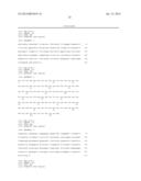 COMBINATION OF ANGIOPOIETIN-2 ANTAGONIST AND OF VEGF-A, KDR AND/OR FLT1     ANTAGONIST FOR TREATING CANCER diagram and image