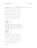 COMBINATION OF ANGIOPOIETIN-2 ANTAGONIST AND OF VEGF-A, KDR AND/OR FLT1     ANTAGONIST FOR TREATING CANCER diagram and image