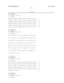 COMBINATION OF ANGIOPOIETIN-2 ANTAGONIST AND OF VEGF-A, KDR AND/OR FLT1     ANTAGONIST FOR TREATING CANCER diagram and image