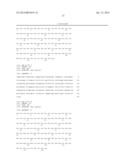 COMBINATION OF ANGIOPOIETIN-2 ANTAGONIST AND OF VEGF-A, KDR AND/OR FLT1     ANTAGONIST FOR TREATING CANCER diagram and image