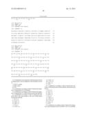 COMBINATION OF ANGIOPOIETIN-2 ANTAGONIST AND OF VEGF-A, KDR AND/OR FLT1     ANTAGONIST FOR TREATING CANCER diagram and image