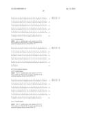 Anti-IL 13 Human Antibodies diagram and image