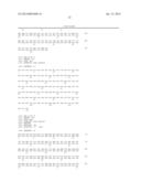 Anti-IL 13 Human Antibodies diagram and image