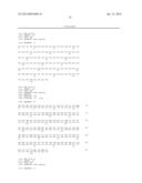 Anti-IL 13 Human Antibodies diagram and image